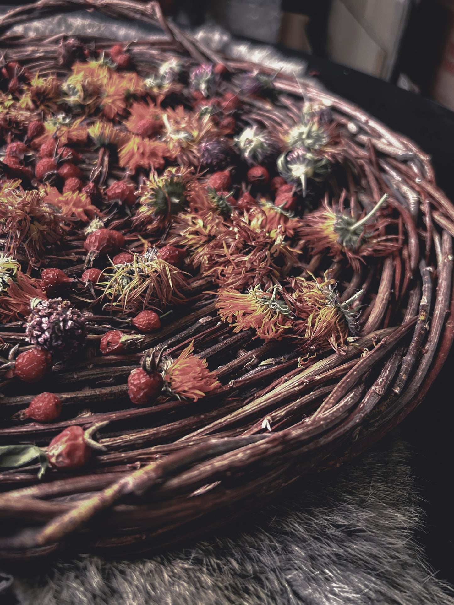 Willow Basket Weaving Workshop *Nov. 18th*