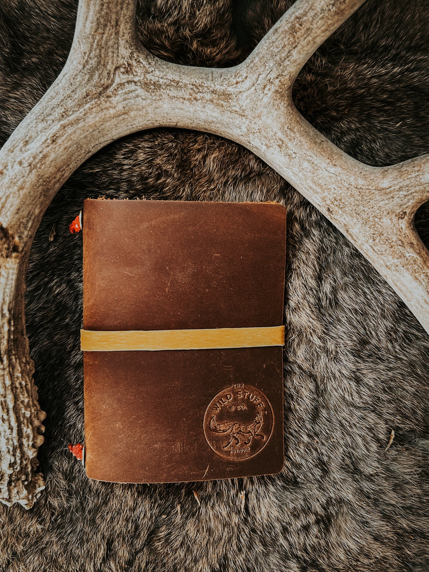 TWS The NOTEBOOK