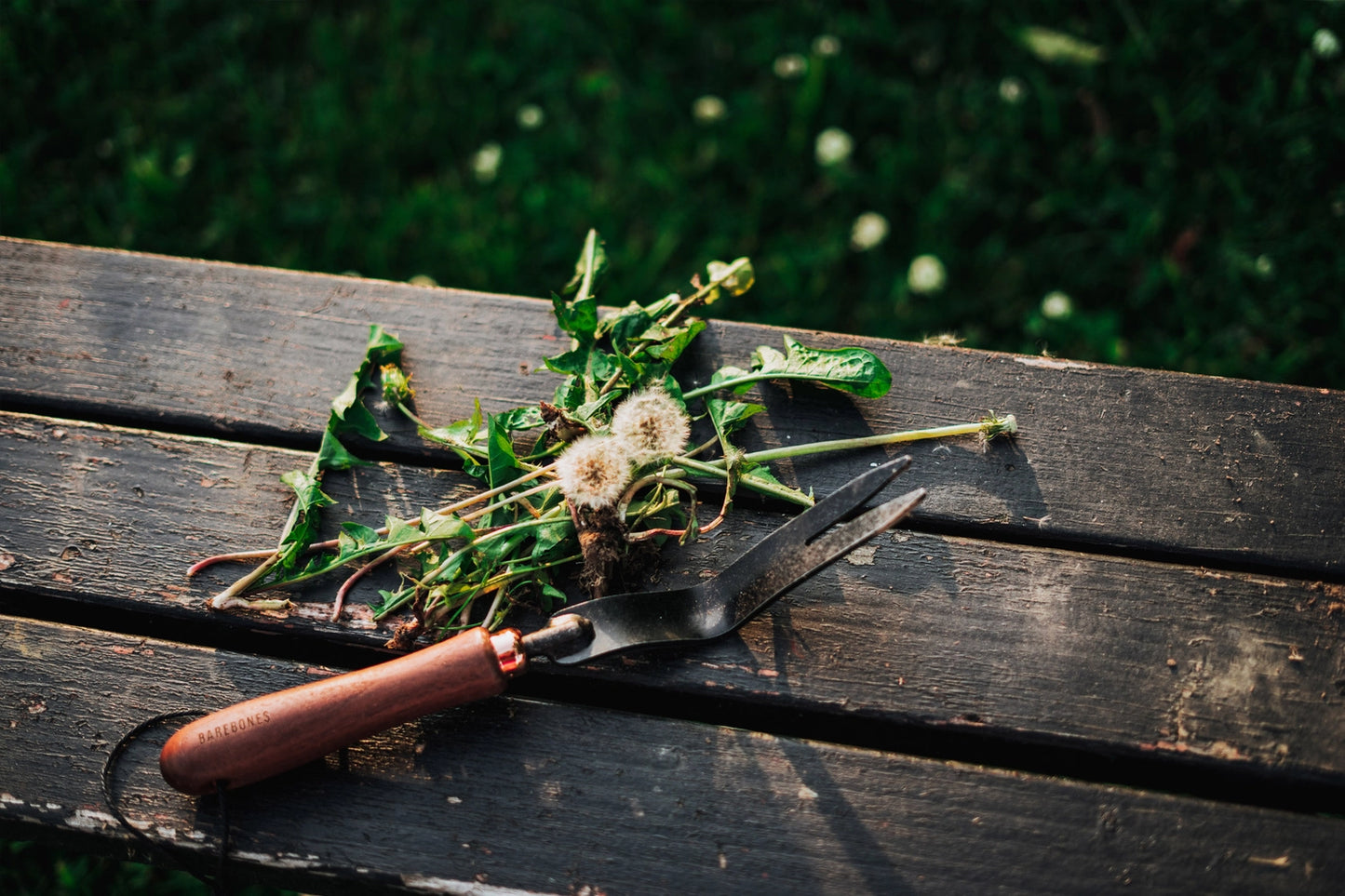 BAREBONES Weeding Fork