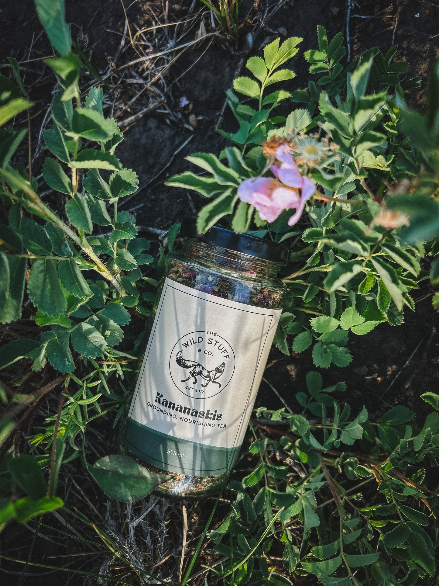 Kananaskis Tea