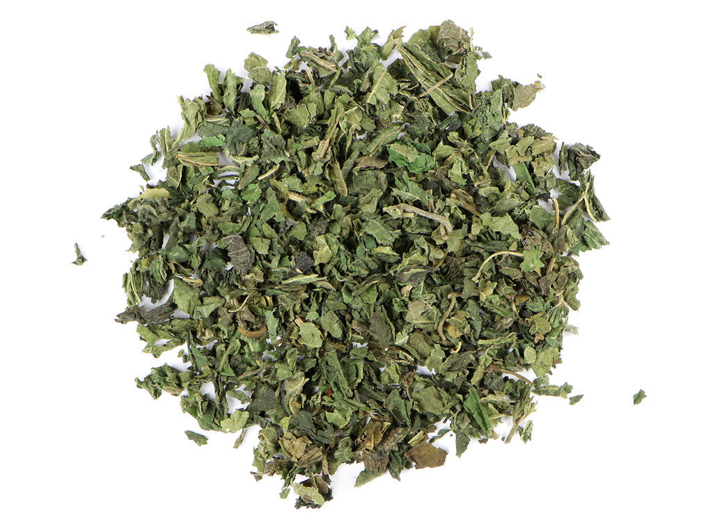 Stinging Nettle