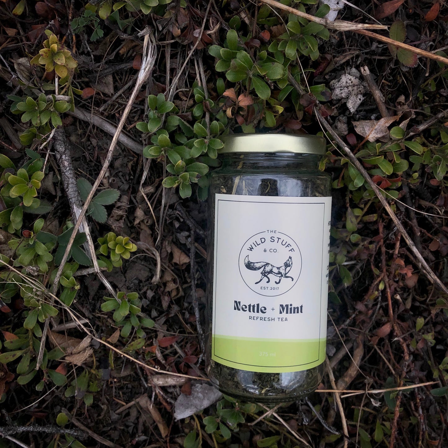 Nettle+Mint Tea