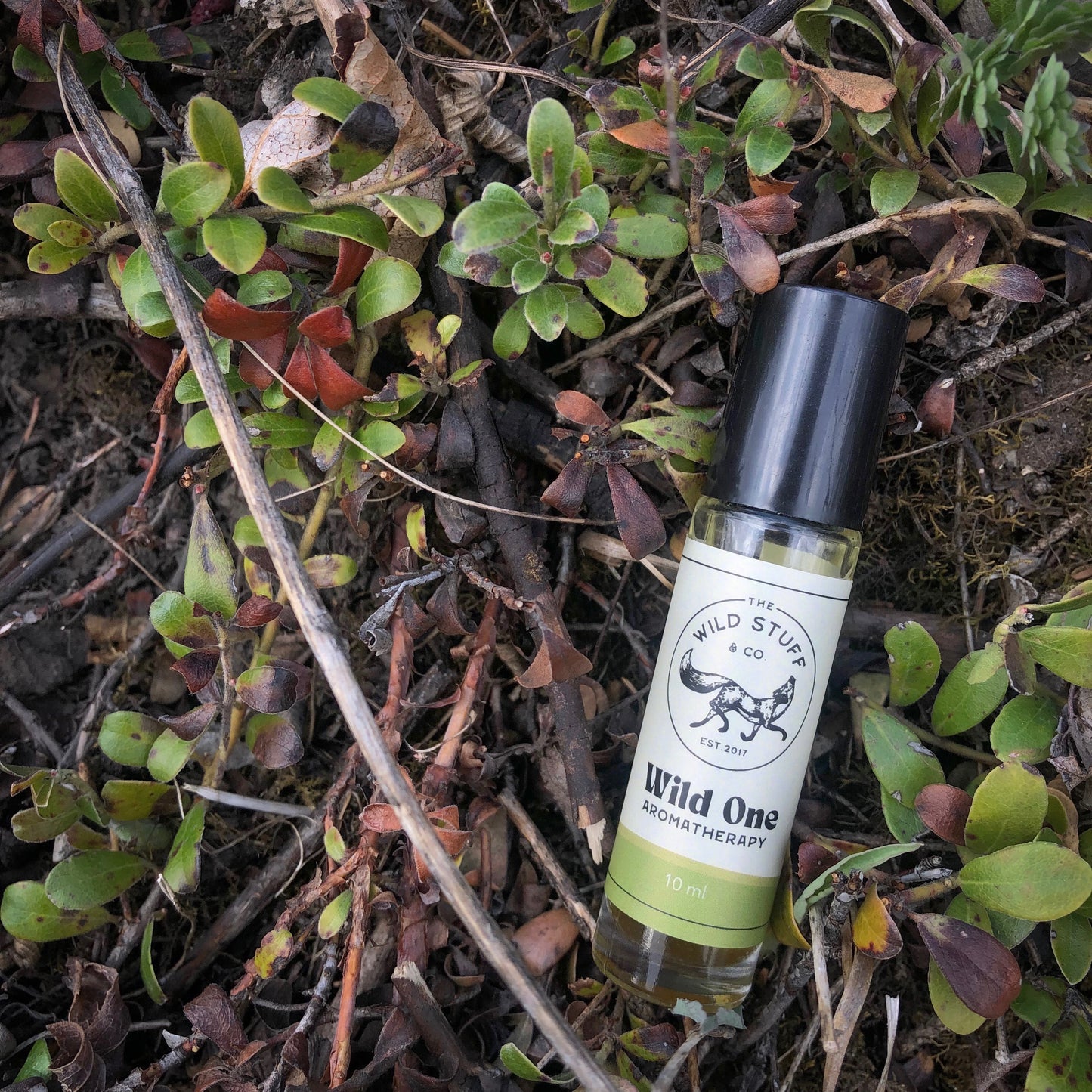 Wild One Oil