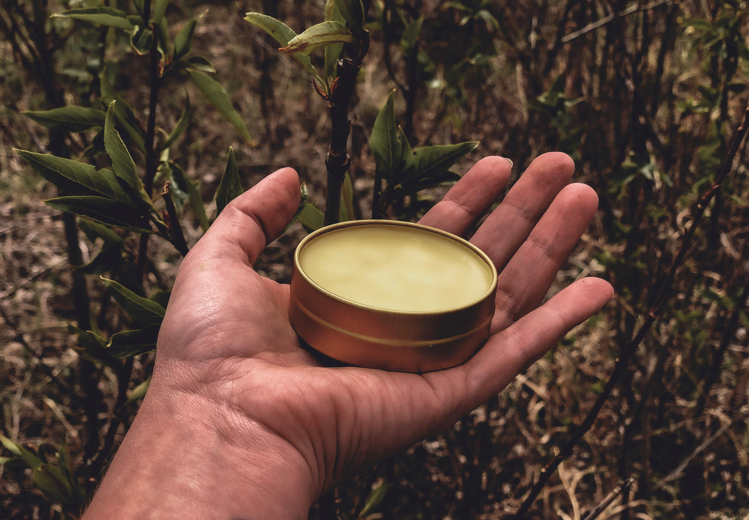 SALVES + BALMS
