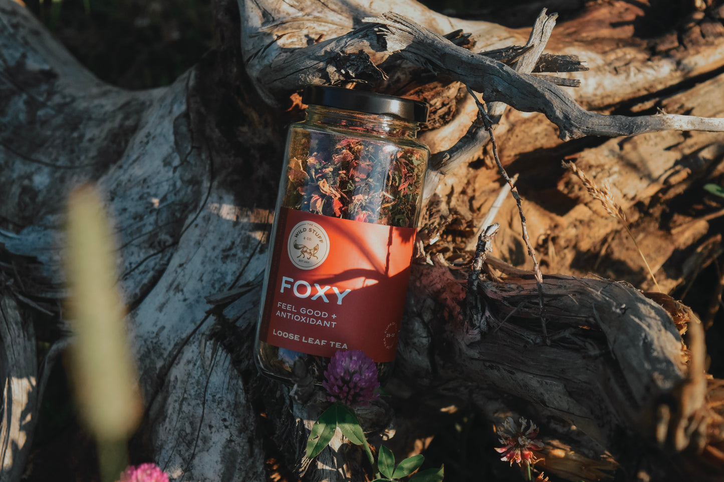 Foxy Tea