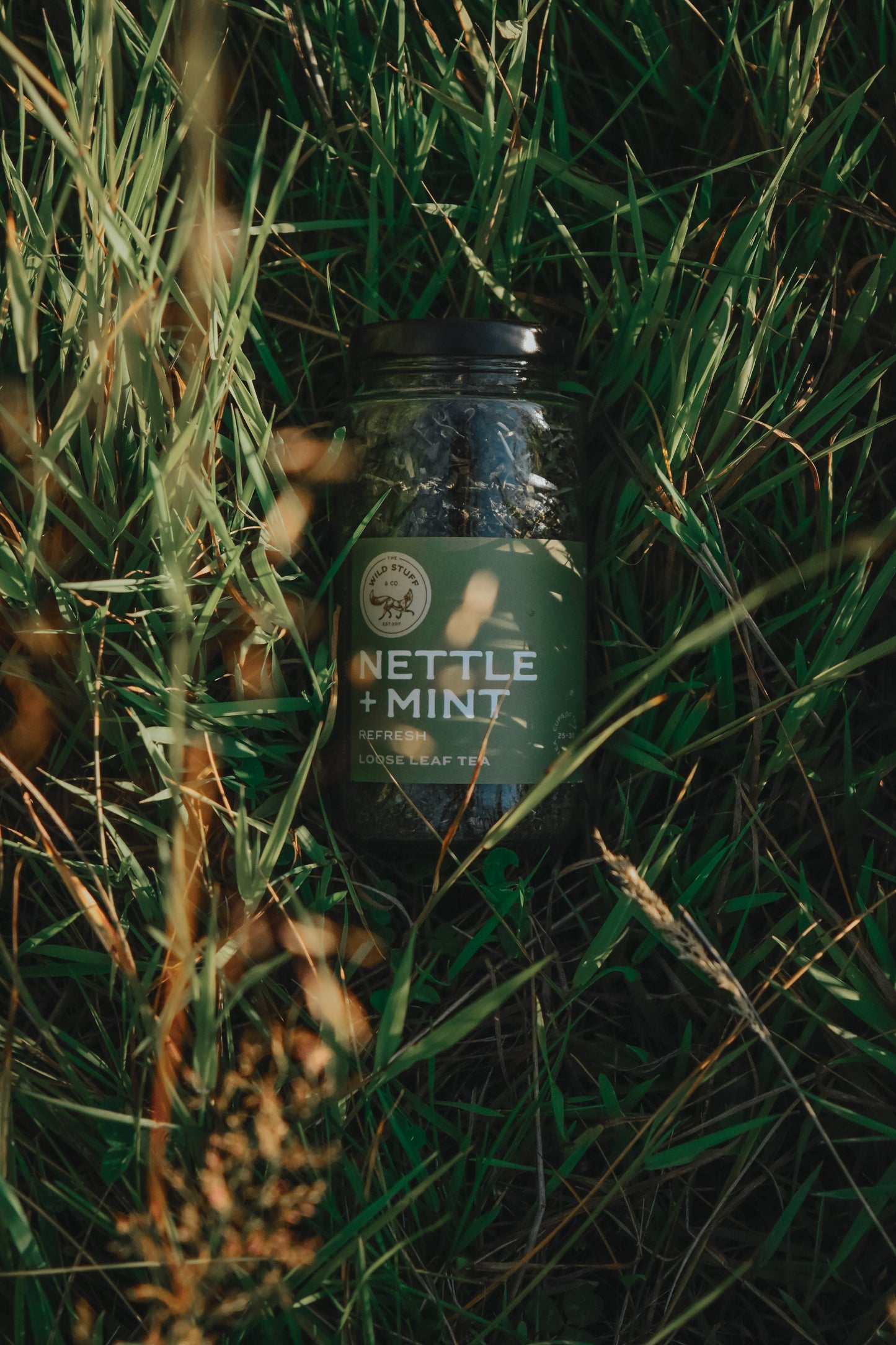 Nettle+Mint Tea