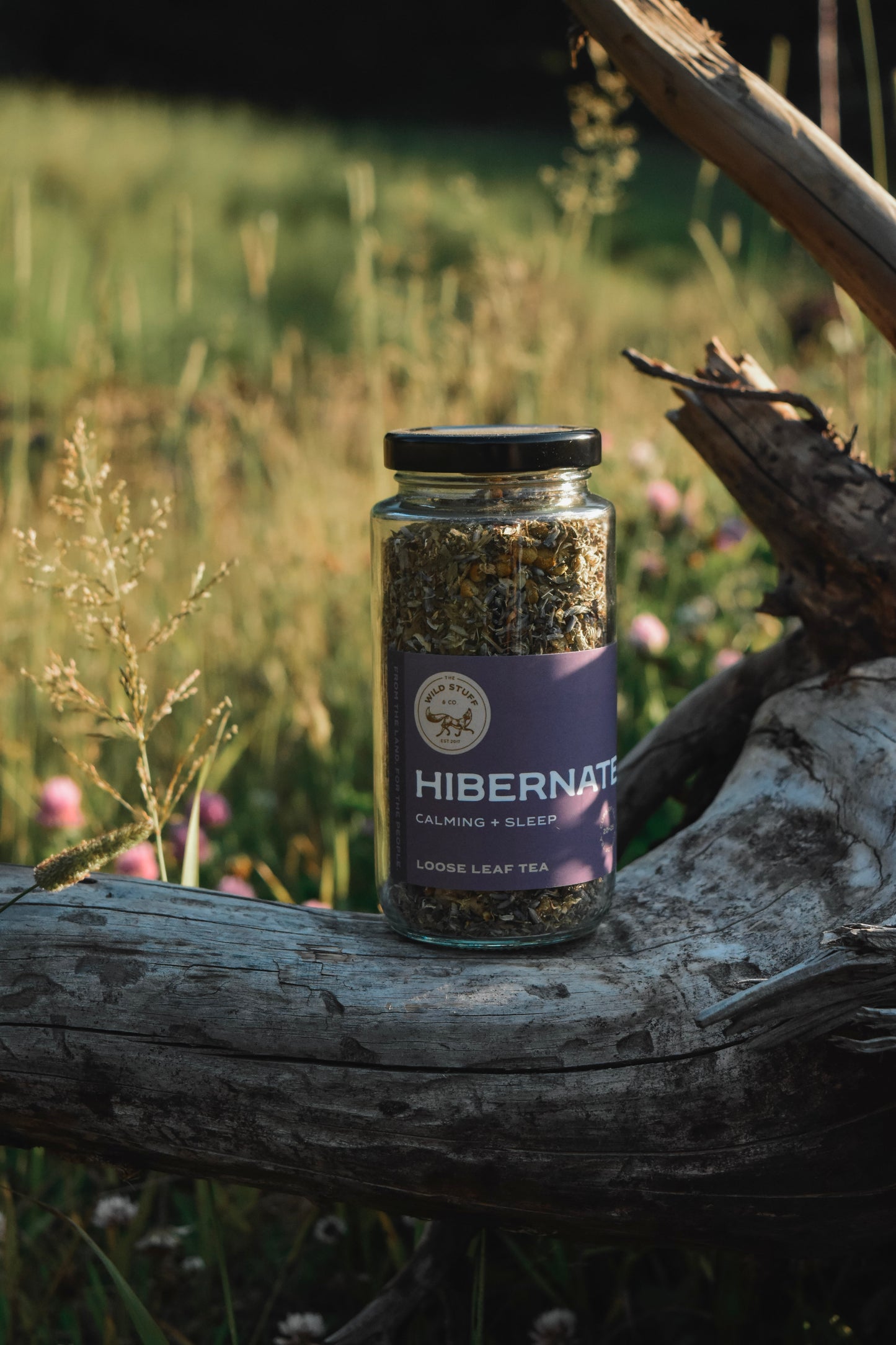 Hibernate Tea