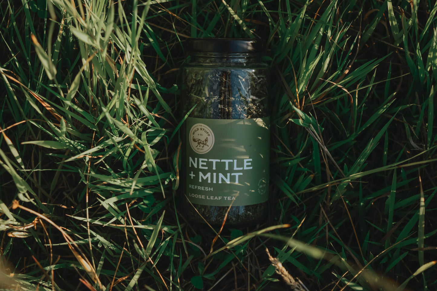 Nettle+Mint Tea