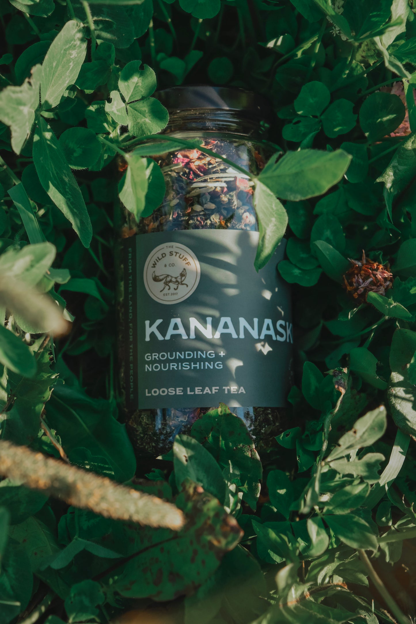 Kananaskis Tea