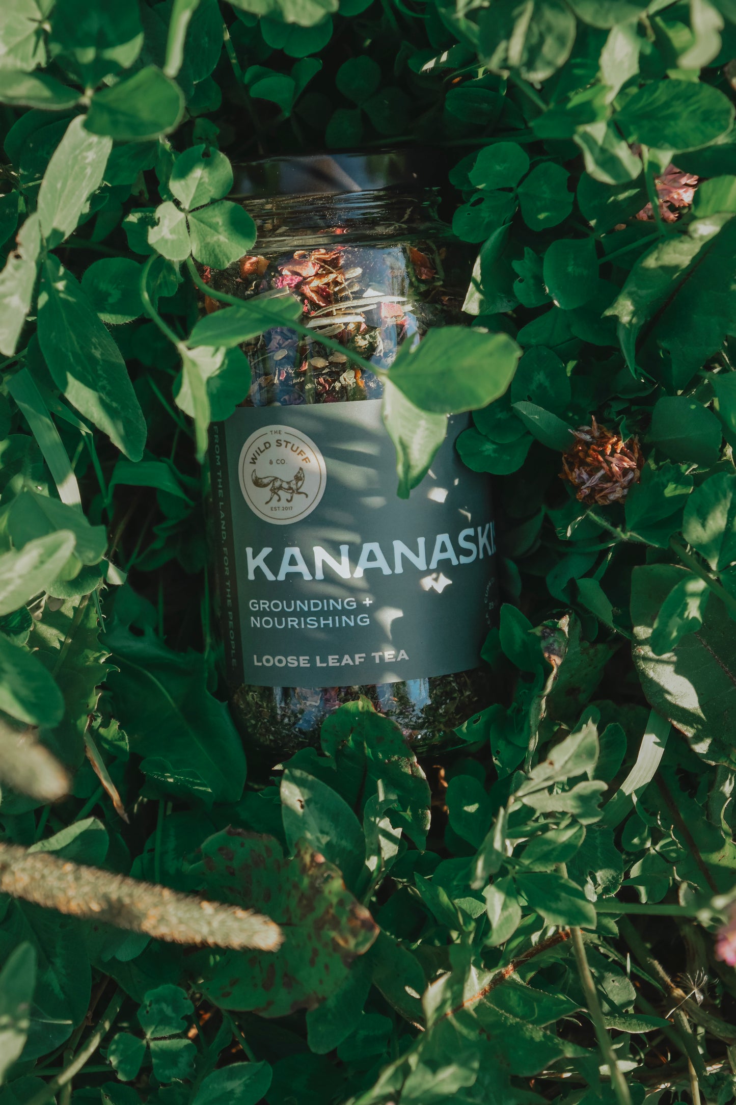 Kananaskis Tea