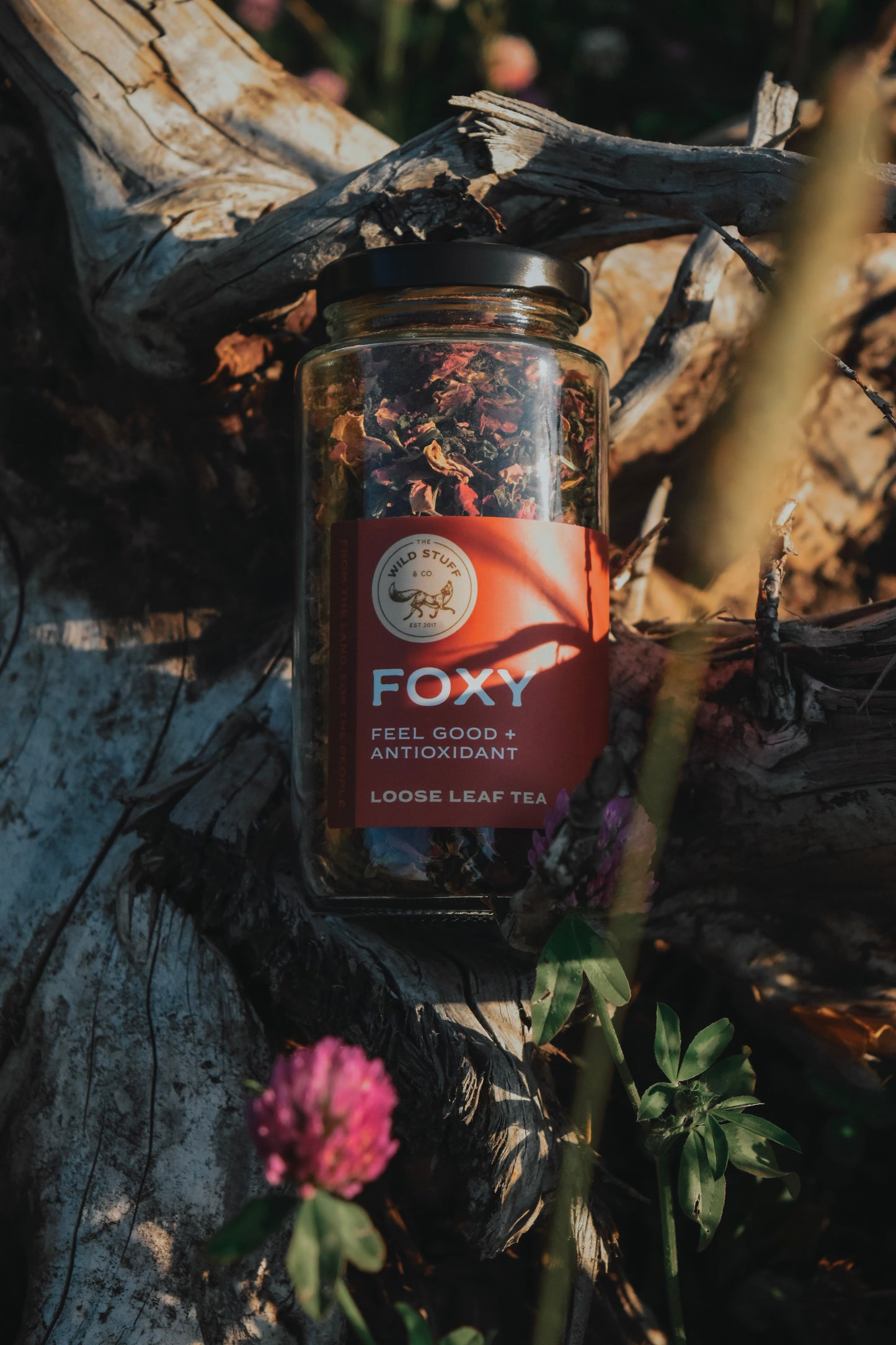 Foxy Tea