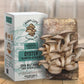 Grow Your Own: OYSTER MUSHROOMS