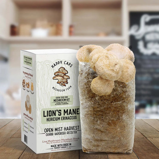 Grow Your Own: LION'S MANE