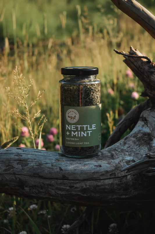 Nettle+Mint Tea
