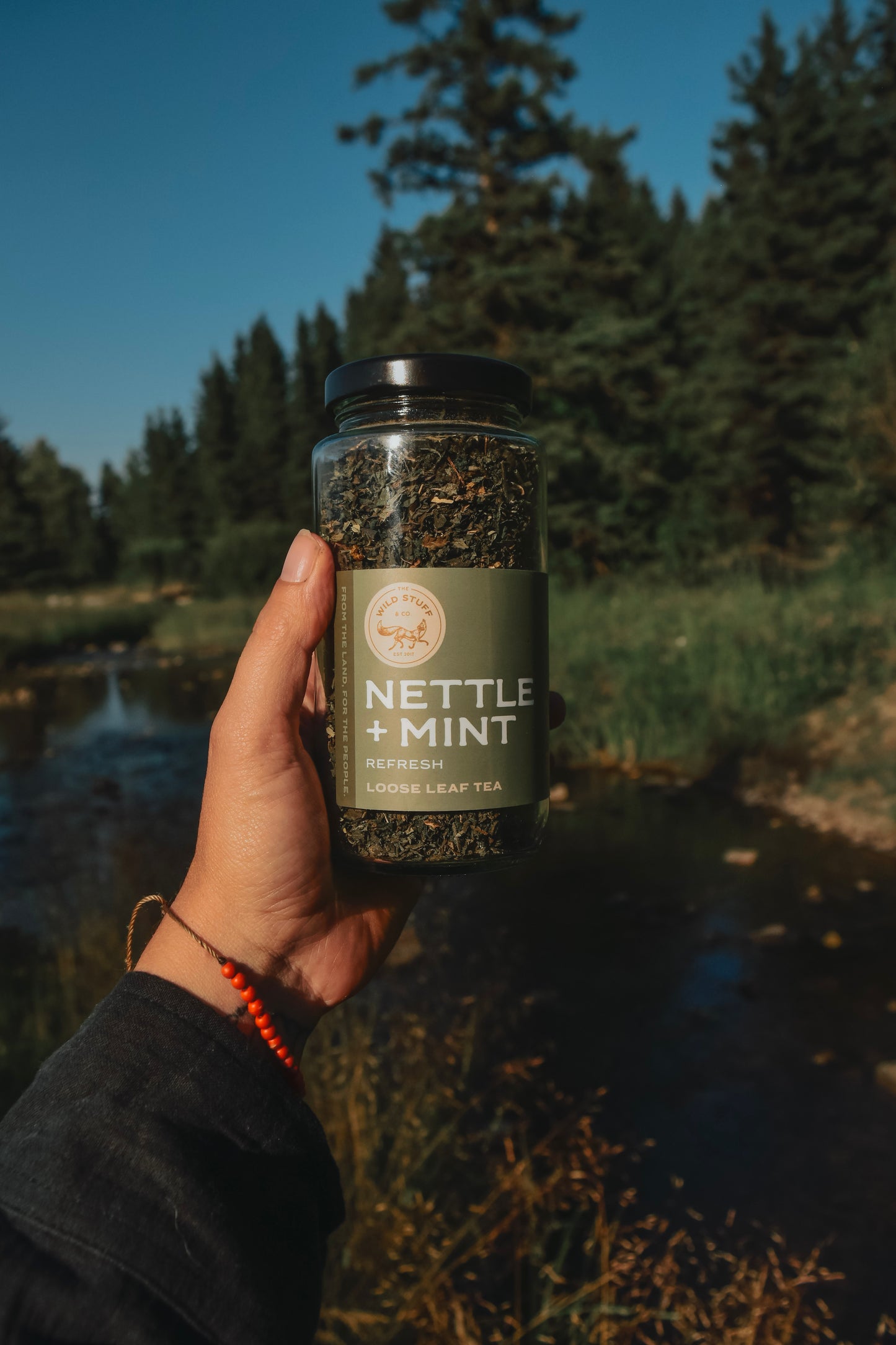 Nettle+Mint Tea