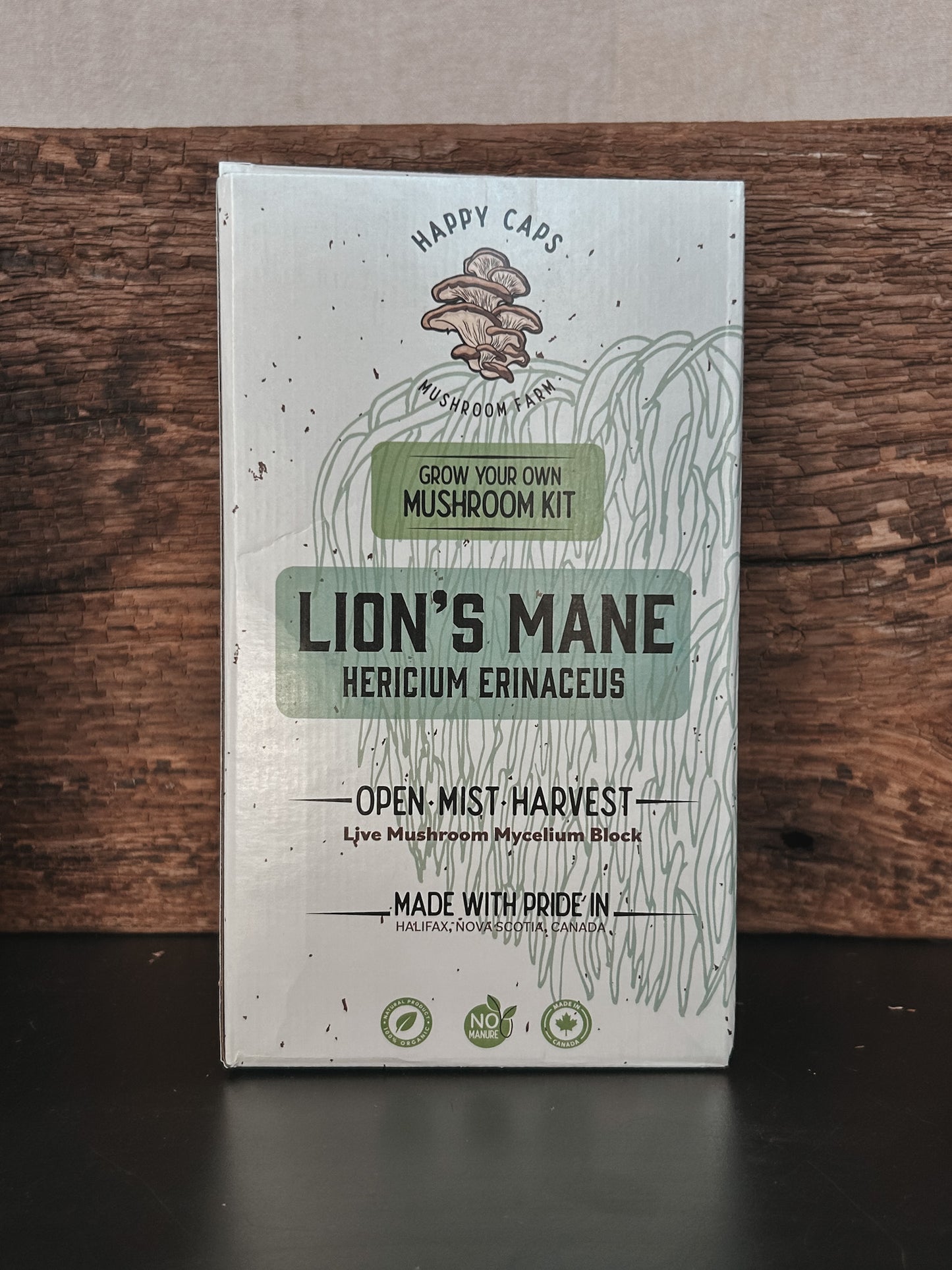 Grow Your Own: LION'S MANE