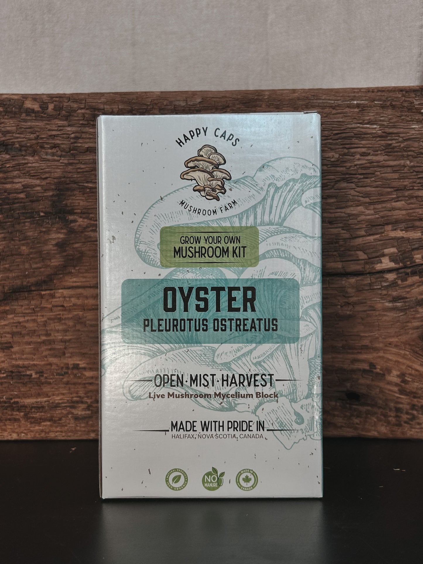 Grow Your Own: OYSTER MUSHROOMS