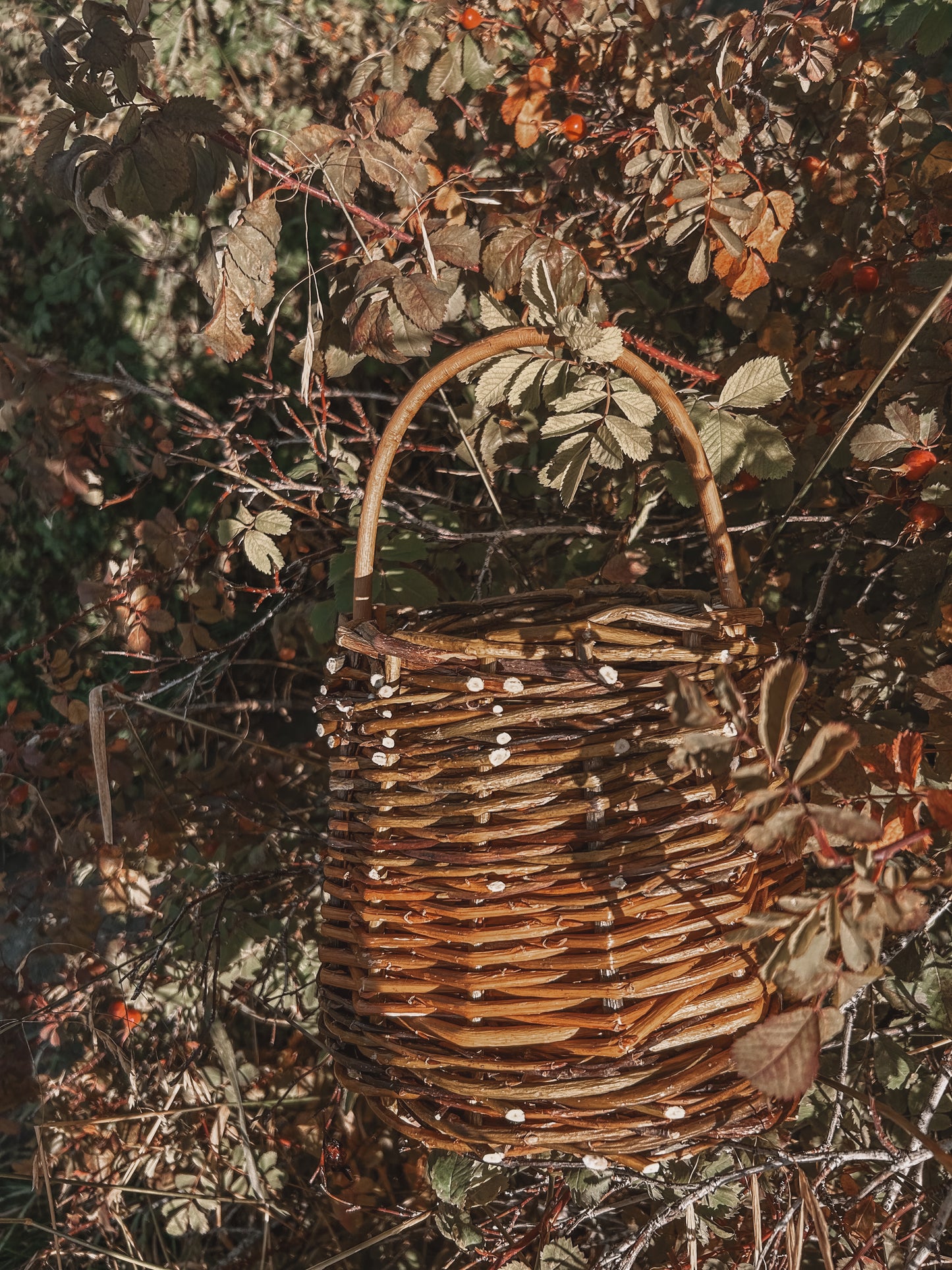 Willow Basket Weaving Workshop *Nov. 25th*