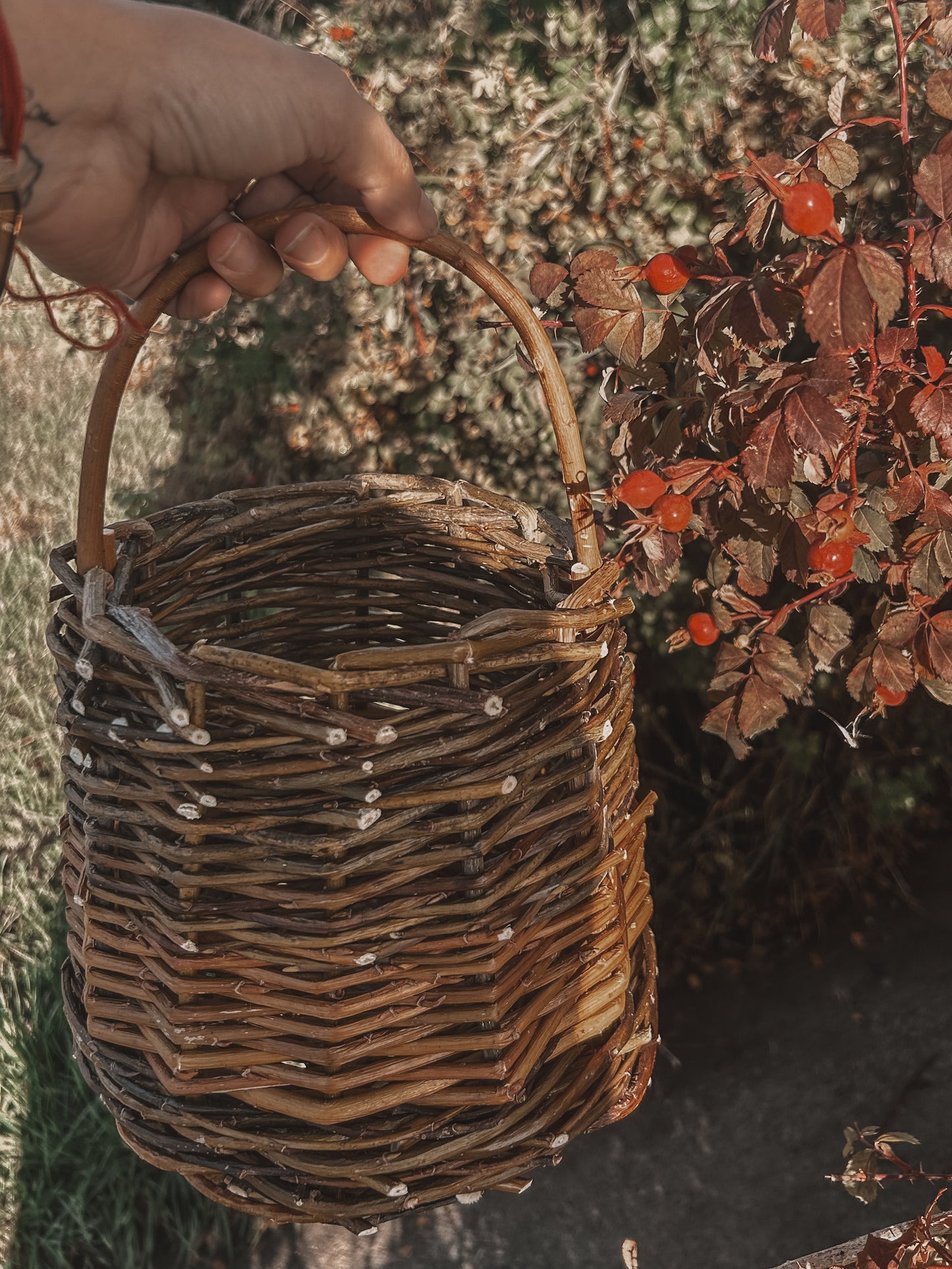 Willow Basket Weaving Workshop *Nov. 25th*