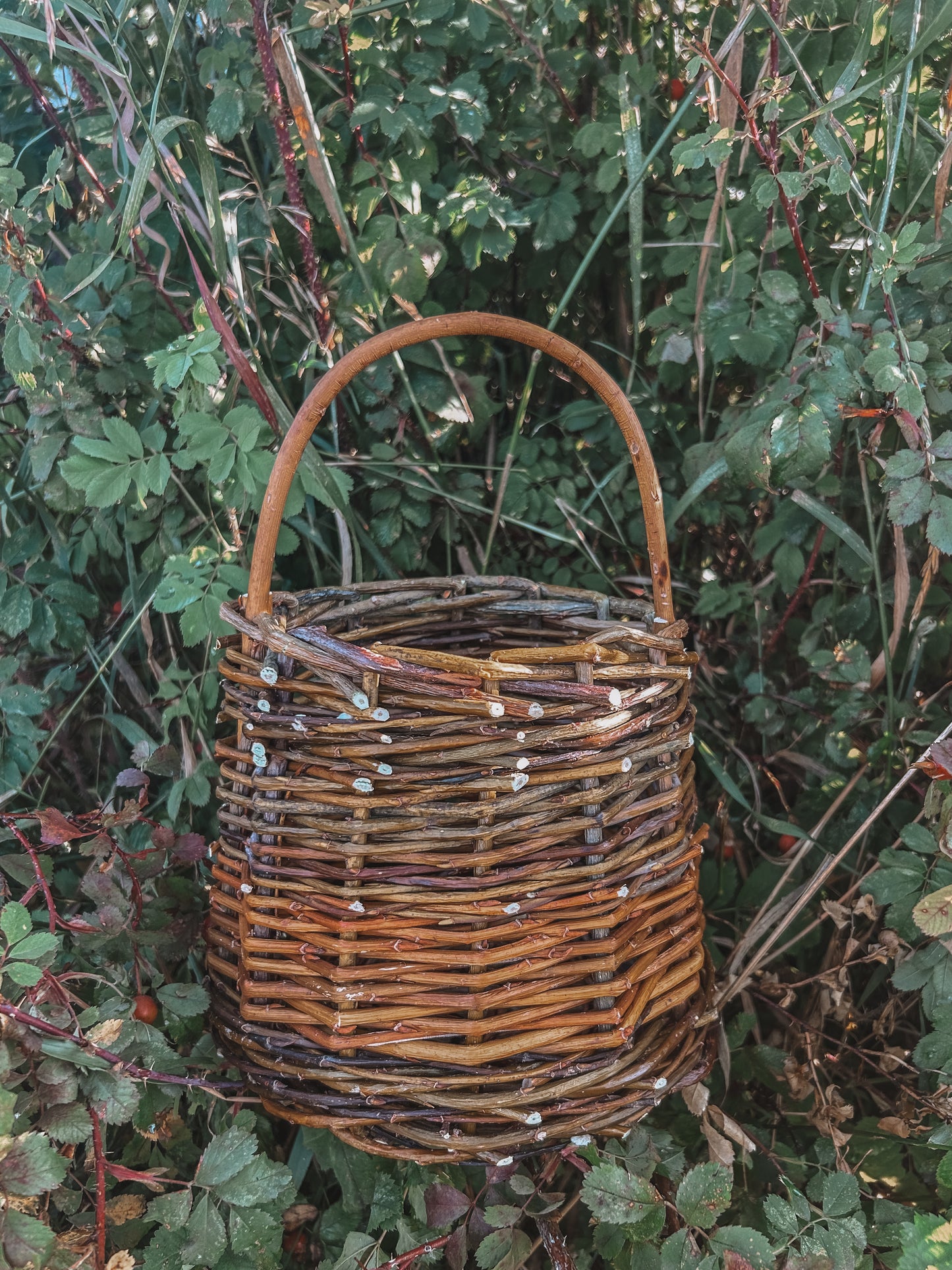 Willow Basket Weaving Workshop *Nov. 25th*