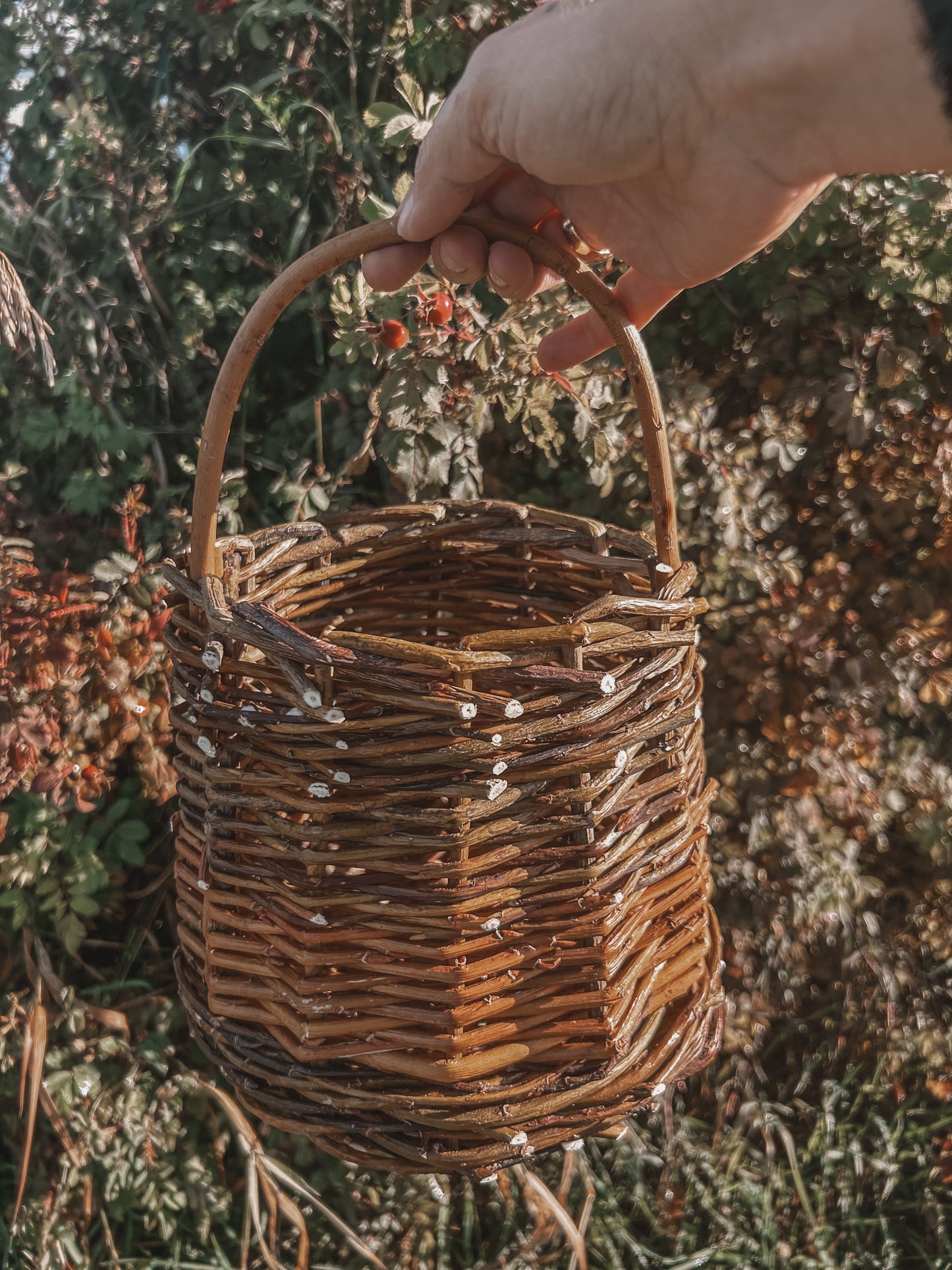 Willow Basket Weaving Workshop *Nov. 25th*