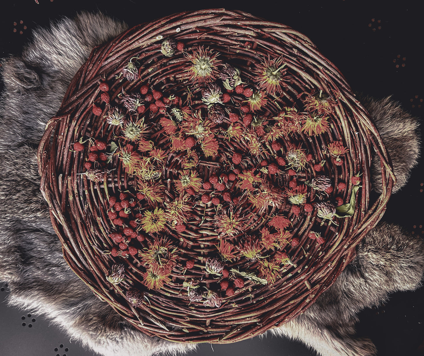Willow Basket Weaving Workshop *Nov. 18th*