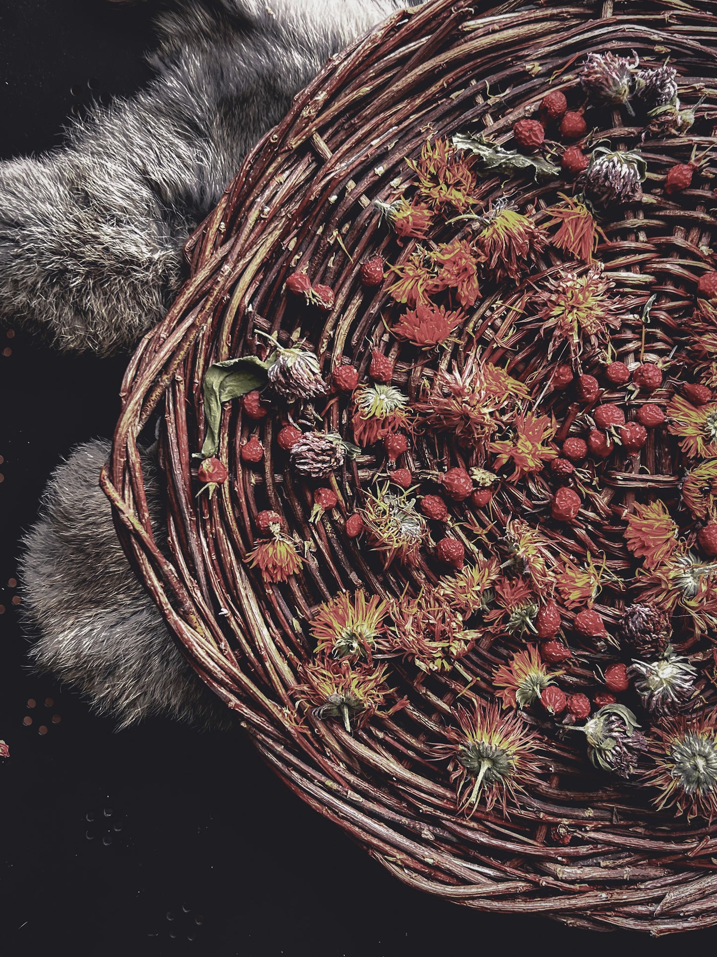 Willow Basket Weaving Workshop *Nov. 18th*