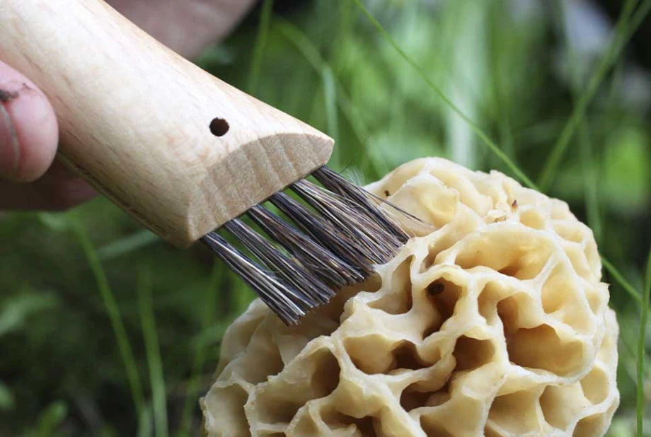 OPINEL Mushroom No. 8 Mushroom Knife