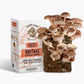Grow Your Own: SHIITAKE MUSHROOMS