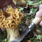 OPINEL Mushroom No. 8 Mushroom Knife